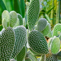 Similar image 22361776