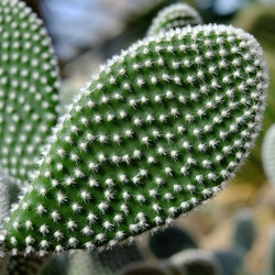 Similar image 22361790