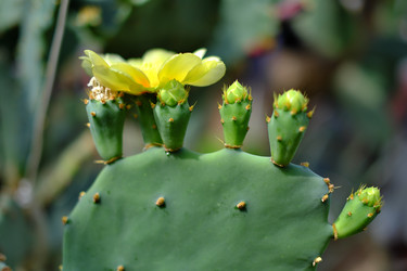 Similar image 22361804