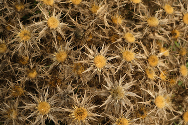 Similar image 22361805