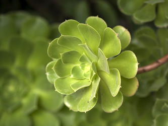 Similar image 22361818