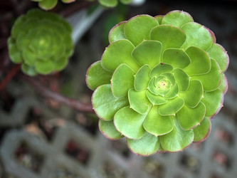 Similar image 22361819