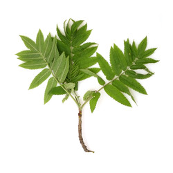 Similar image 22361849