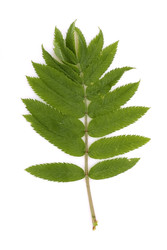 Similar image 22361850