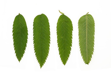 Similar image 22361864