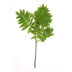 Similar image 22361865