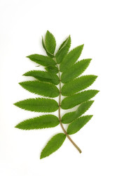 Similar image 22361866