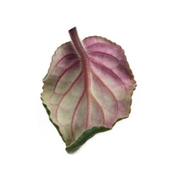 Similar image 22361879