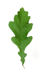 Similar image 22361925