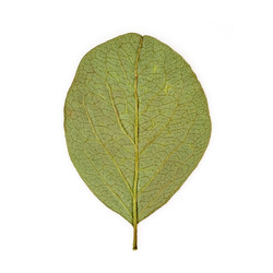 Similar image 22361926