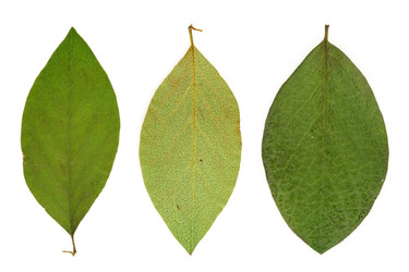 Similar image 22361941