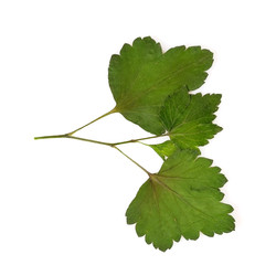 Similar image 22361953