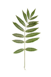 Similar image 22361970