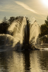 Similar image 22363003