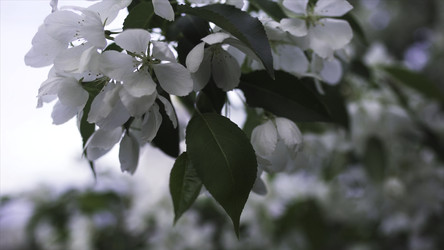 Similar image 22369927