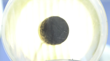 Similar image 22370014