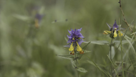 Similar image 22370326