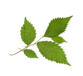 Similar image 22361551