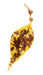 Similar image 22361657