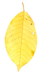 Similar image 22361658