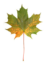 Similar image 22361659