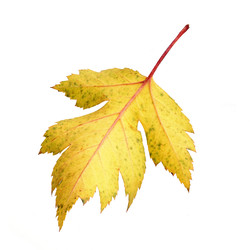 Similar image 22361679