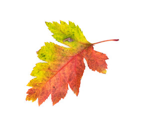 Similar image 22361693