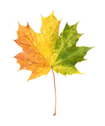 Similar image 22361694