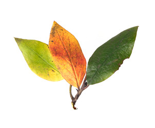 Similar image 22361705