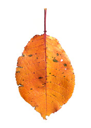 Similar image 22361720