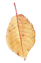 Similar image 22361721