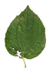 Similar image 22361741