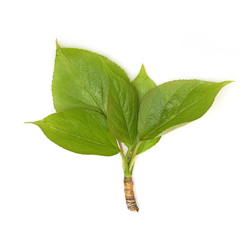 Similar image 22361743