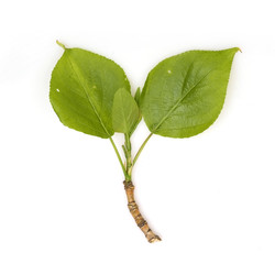 Similar image 22361744