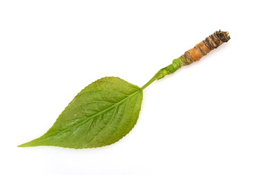 Similar image 22361762