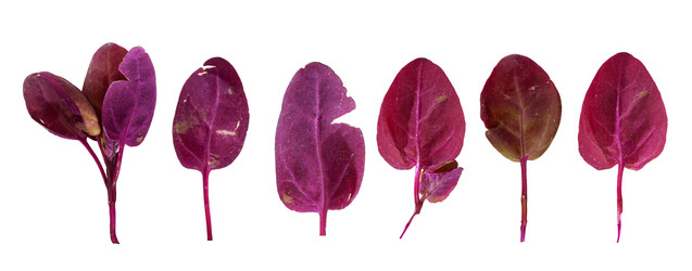 Similar image 22361777