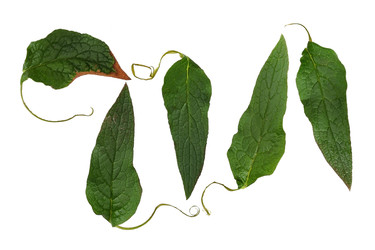 Similar image 22361778