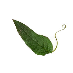 Similar image 22361820