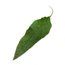 Similar image 22361821