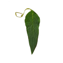 Similar image 22361835