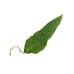 Similar image 22361836