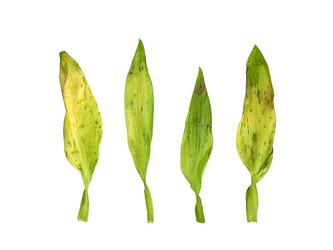 Similar image 22361851