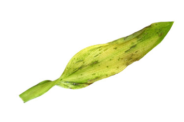 Similar image 22361852