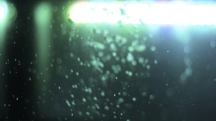 Similar image 22369946