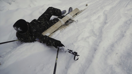 Similar image 22370046