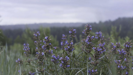 Similar image 22370074