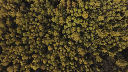 Similar image 22370371