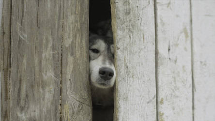 Similar image 22368924