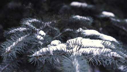 Similar image 22368983