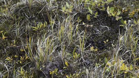 Similar image 22369088